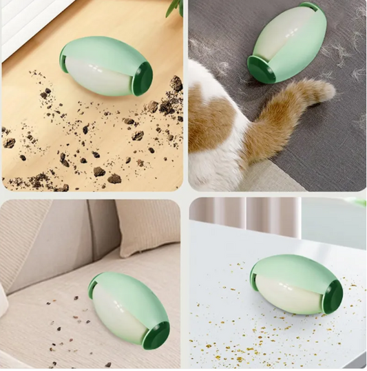Pet Hair Removal