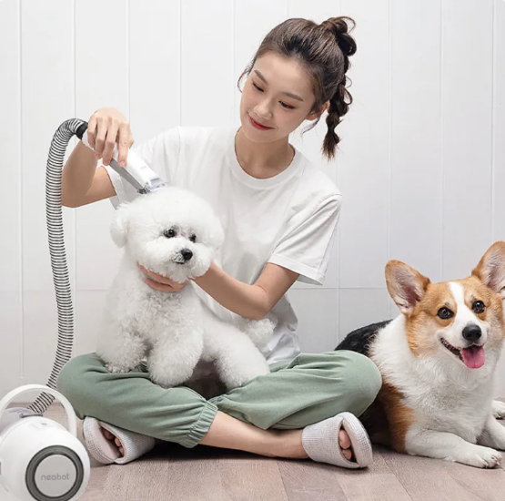 Pet Groomig Kit